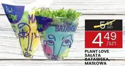 Wafelek Sałata PLANT LOVE batawska, maślowa oferta