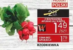 Wafelek Rzodkiewka Wafelek oferta