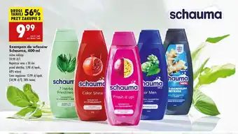 Biedronka Szampon Schauma oferta