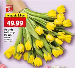 Lidl Bukiet Polskie kwiaty oferta