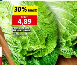 Lidl Kapusta pekińska oferta