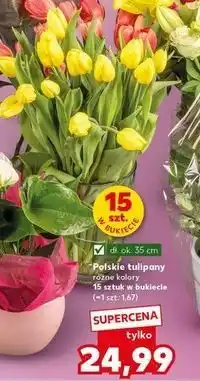 Kaufland Tulipany oferta