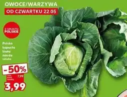Kaufland Kapusta młoda polska oferta