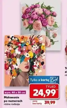 Kaufland Malowanie po numerkach oferta