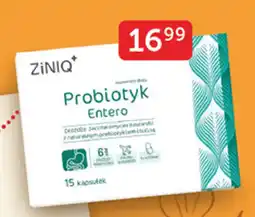 Ziko Dermo Probiotyk Entero ZiNiQ+ oferta