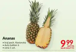 Makro Ananas Makro oferta