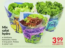 Makro Mix sałat hydro Makro oferta