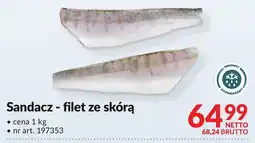 Makro Sandacz - filet ze skórą Makro oferta