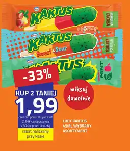 Hildebrandt Lody Kaktus oferta