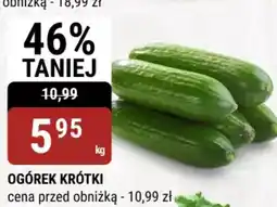 bi1 Ogórek krótki oferta
