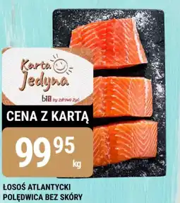 bi1 Losoś atlantycki oferta