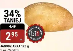 bi1 Jagodzianka oferta