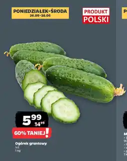 Netto Ogórek gruntowy oferta