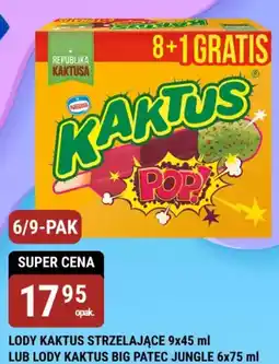 bi1 Lody Kaktus oferta