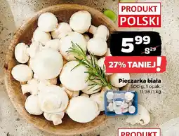 Netto Pieczarka biała oferta