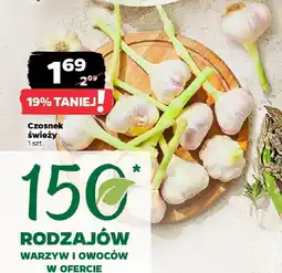 Netto Czosnek świeży oferta