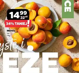 Netto Morela oferta