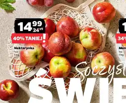 Netto Nektarynka oferta