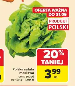 Carrefour Sałata masłowa Polski oferta