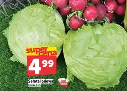 Topaz Sałata lodowa oferta