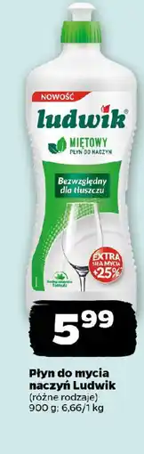 Netto Płyn do mycia naczyń Ludwik oferta