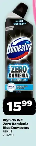 Netto Płyn do WC Zero Kamienia Blue Domestos oferta