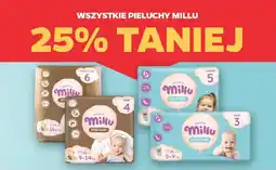 Netto Wszystkie pieluchy millu oferta