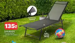 Netto Leżak ogrodowy oferta