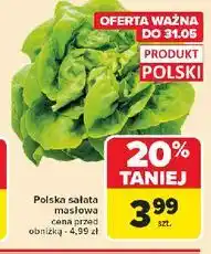 Carrefour Sałata masłowa polska oferta