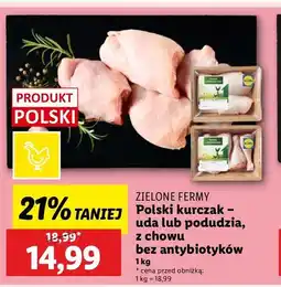Lidl Udo z kurczaka oferta