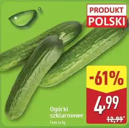 ALDI Ogórek szklarniowy polska oferta