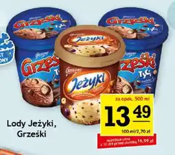 Gram Market Lody Jeżyki, Grześki oferta