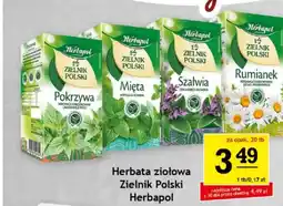 Gram Market Herbata ziołowa Zielnik Polski Herbapol oferta