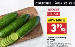 Biedronka Ogórek szklarniowy oferta