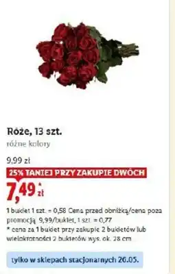 Lidl Róże oferta
