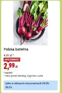 Lidl Polska botwina oferta