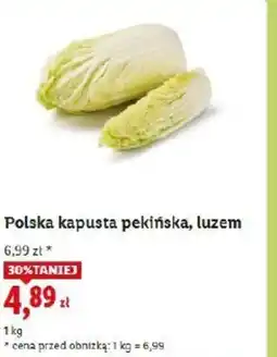 Lidl Polska kapusta pekińska oferta