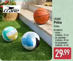 ALDI Piłka Crane oferta