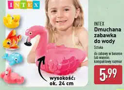 ALDI Intex Dmuchana zabawka do wody oferta
