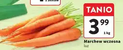 Intermarche Marchew wczesna luz 1kg Intermarche oferta