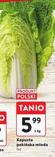 Intermarche Kapusta pekińska młoda luz 1kg Intermarche oferta