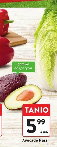 Intermarche Avocado Hass luz 1 szt. Intermarche oferta
