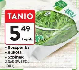 Intermarche Roszponka rukola szpinak z sadu i pola Intermarche oferta