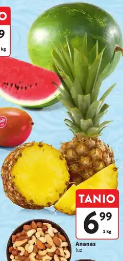 Intermarche Ananas luz Intermarche oferta
