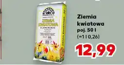 Kaufland Ziemia kwiatowa oferta