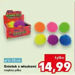 Kaufland Gniotek z włoskami oferta