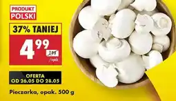 Biedronka Pieczarka opak 500 g oferta