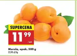 Biedronka Morela, opak. 500 g oferta
