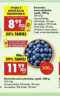 Biedronka Borówka amerykańska opak 300 g oferta