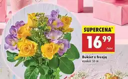 Biedronka Bukiet z frezją oferta